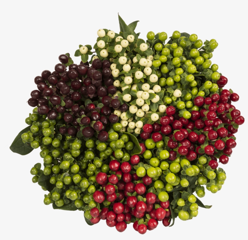 Seedless Fruit, transparent png download