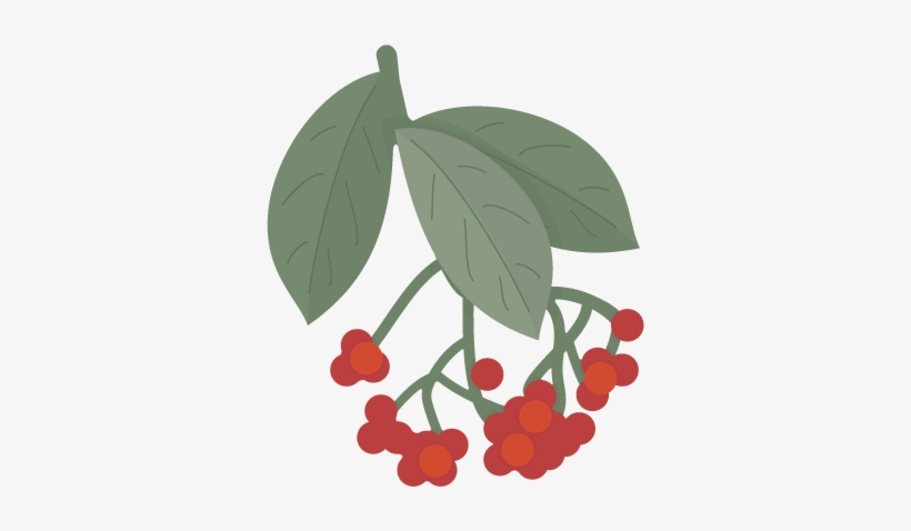 Use These Pretty Botanical Berries On Your Next Paper - Svgcuts.com Blog, transparent png download
