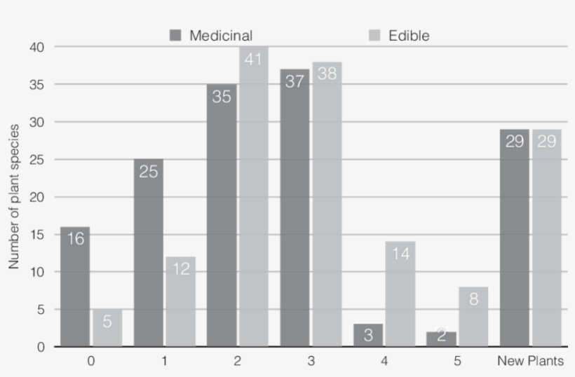 5 Edibility And Medicinal Ratings Of Wild Plants - Plants, transparent png download