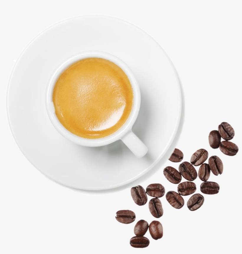 Gymqueen Queen Whey (vanilla Milkshake, 500g), transparent png download