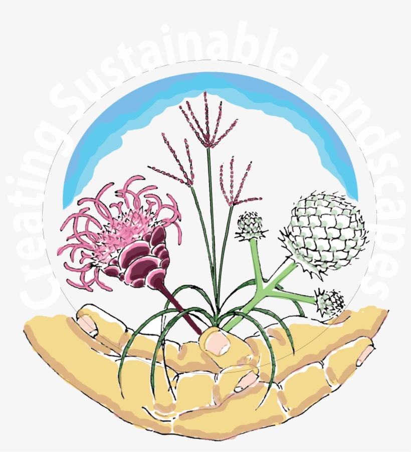 Native Plants & Landscape Consulting In Oakland County - Creating Sustainable Landscapes Llc, transparent png download