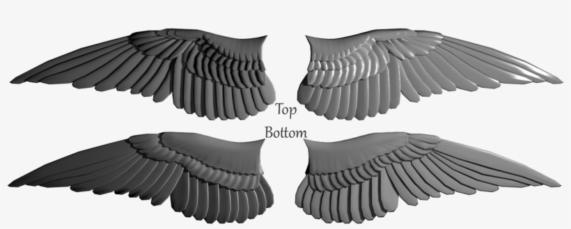 My Character, Trier, Zbrush, Ravens, Wings, Crows Ravens, - Wingspan Cartoon, transparent png download