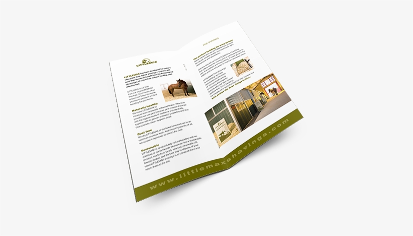 Find Out More About Our Screening Process - Flyer, transparent png download