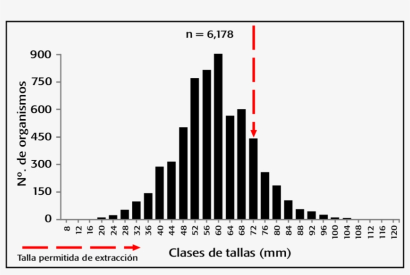 En La Laguna De Tampamachoco, Veracruz, México, En - Total Harmonic Distortion Chart, transparent png download