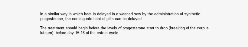 Articles - Turn Over Letter Of Equipment, transparent png download