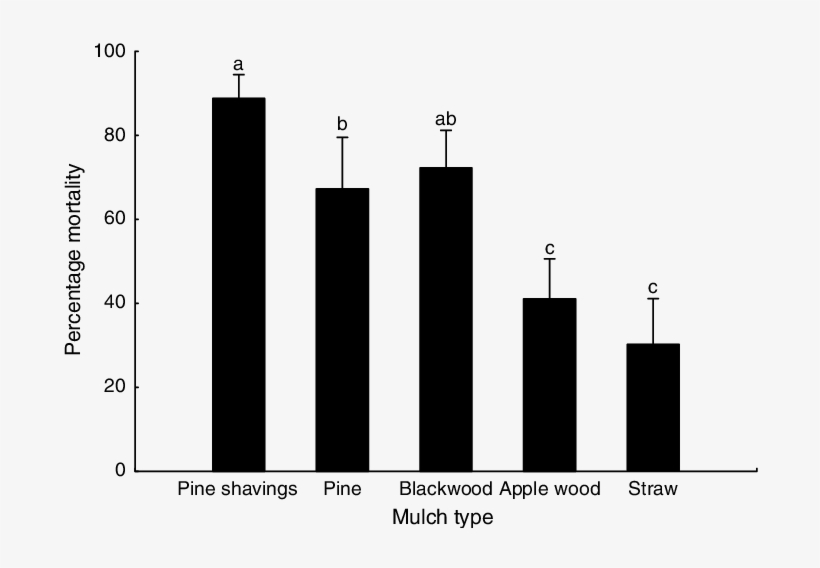 Codling Moth Larvae After Exposure To Heterorhabditis - Dunnett's Test, transparent png download