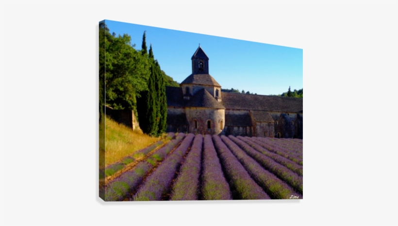 Lavendar Field At Senanque Abbey Canvas Print - Sénanque Abbey, transparent png download