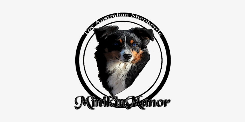 Home - Bernese Mountain Dog, transparent png download