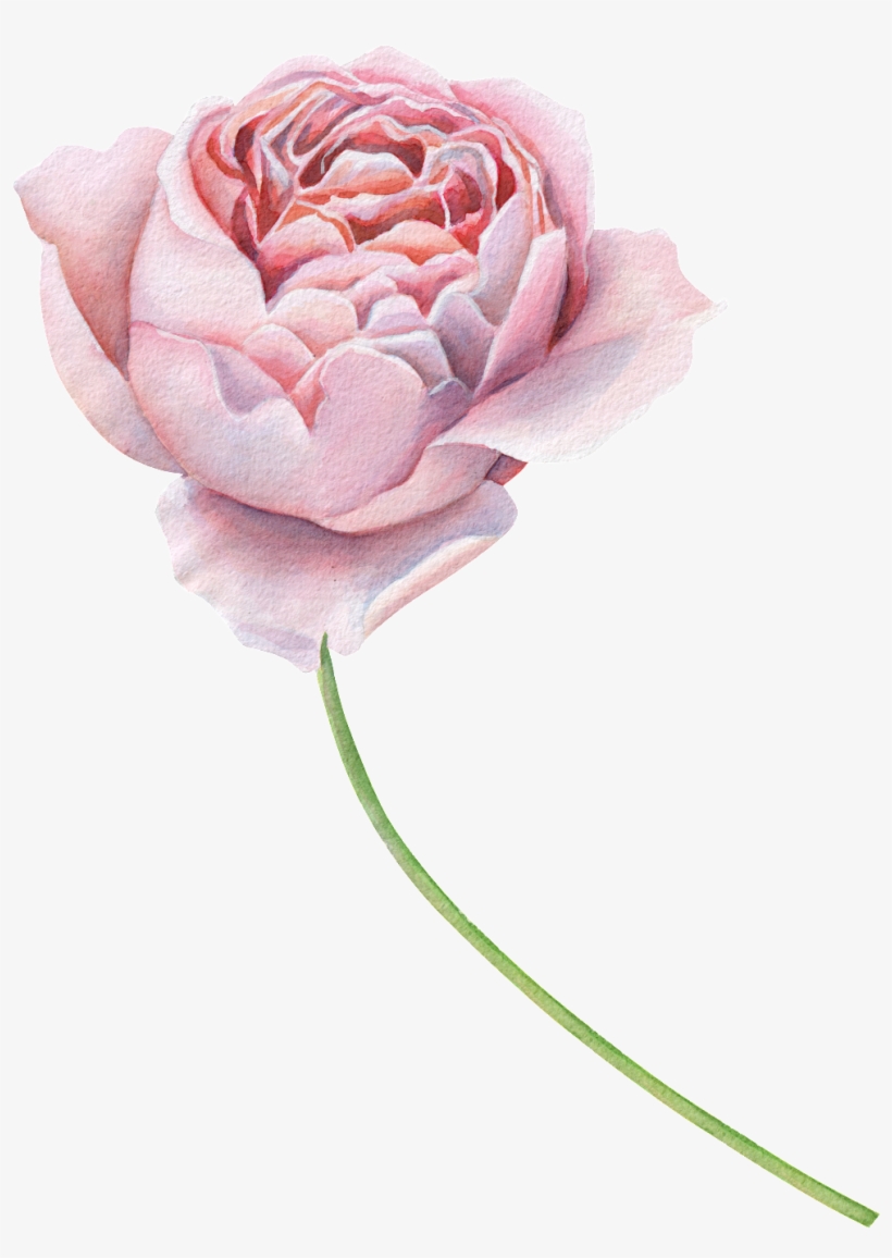 Flower Headband Png, transparent png download