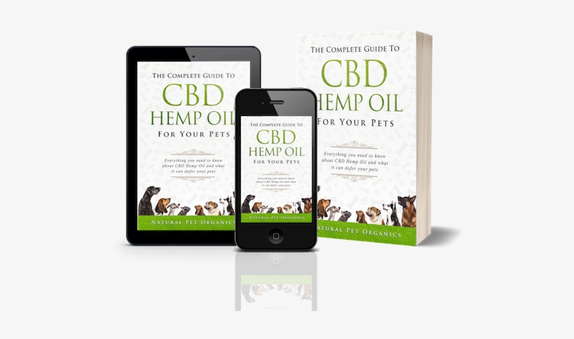 H3 Essentials - Probiotics For Dogs - For Immune, transparent png download