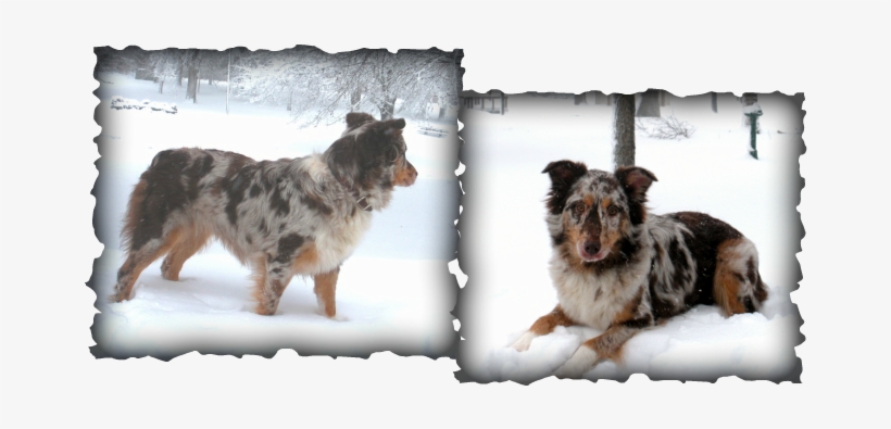 I Am Putting Tandi Here Because We Are Considering - Ayungon Nhs, transparent png download