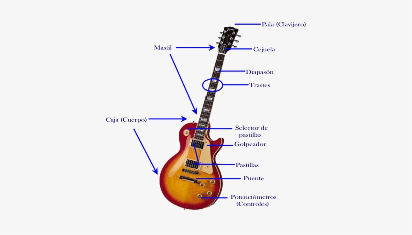 Caracteristicas De La Guitarra Electrica, transparent png download