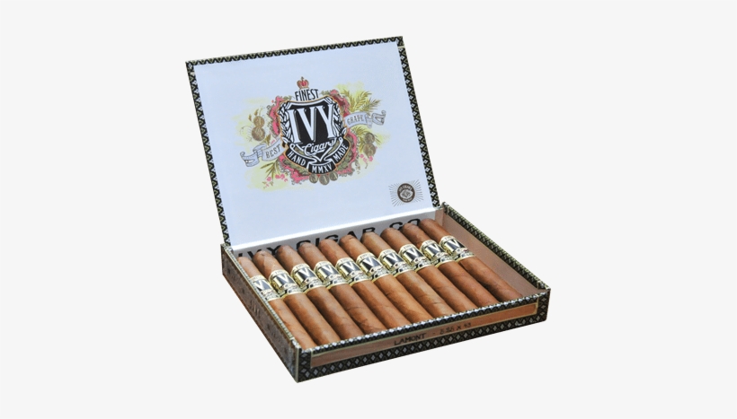 Jason Holly Of Viva Republica Announces “ivy” - Partagas Mille Fleurs, transparent png download