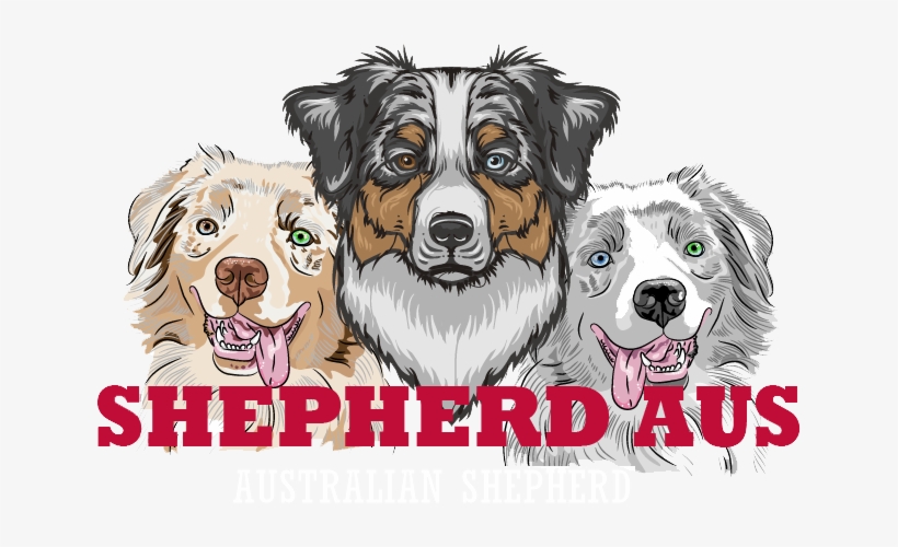 Australian Shepherd 9 - Unisex Tanktop, transparent png download