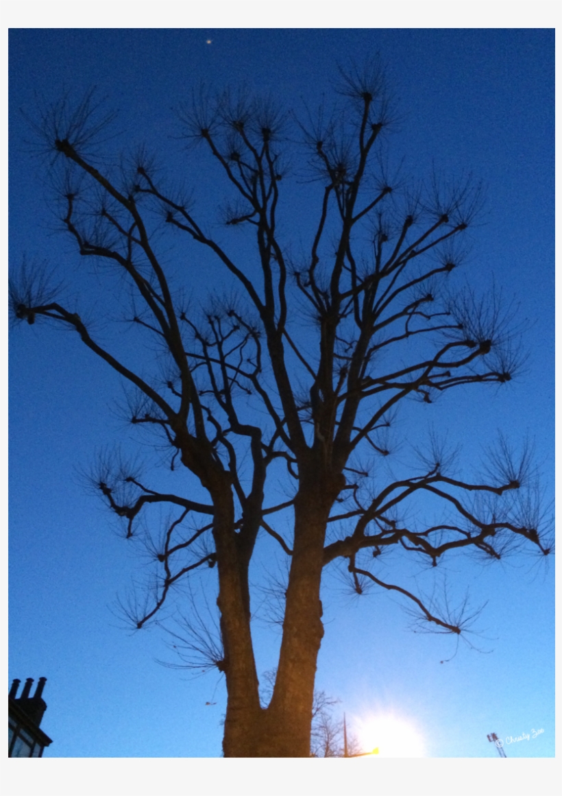 Taken In London, United Kingdom With An Iphone - Silhouette, transparent png download