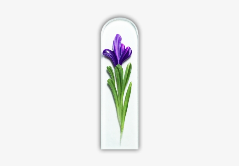 102500 Purple Iris - Spring Crocus, transparent png download