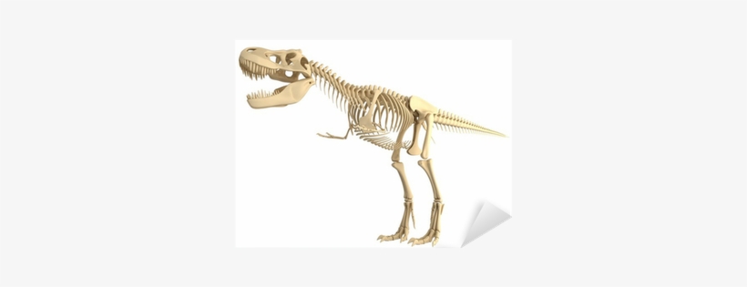 Tyrannosaurus 中文, transparent png download