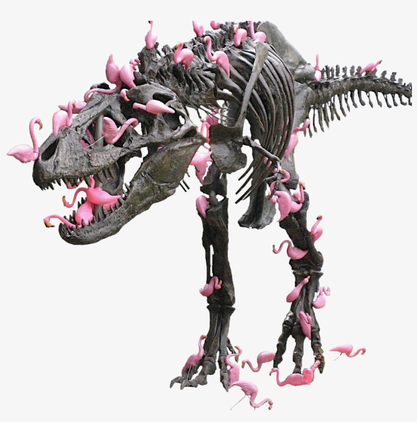 Animalpink Flamingos On A T-rex - Jpeg, transparent png download