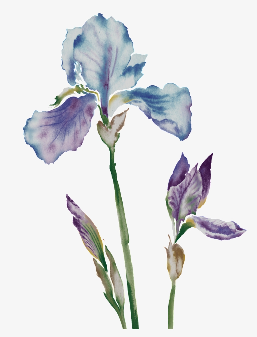 Beautiful Painted Purple Blue Flower Elements - 薰衣草 花紋, transparent png download