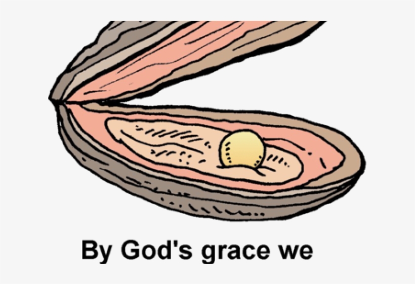 Pearl, transparent png download