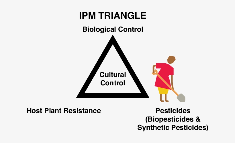 Caution 60 Year Old, transparent png download