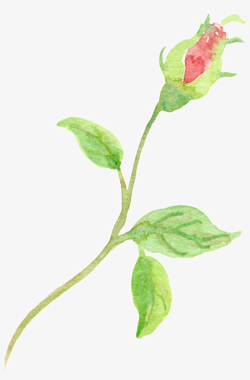 Beautiful Bunch Of Flowers Cartoon Transparent - Flower, transparent png download