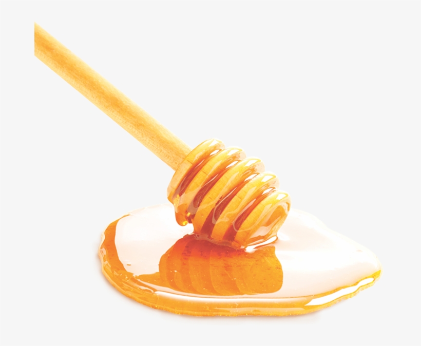 Miel Png - Miel En Png, transparent png download