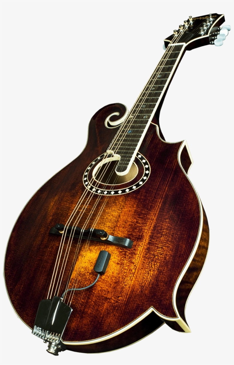 Lr - Lr Baggs Mandolin Pickup With External Jack Mount, transparent png download