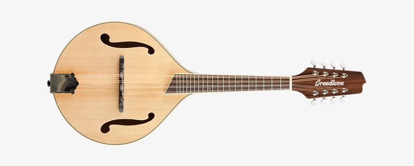 Cort Sfx Ab Nat, transparent png download