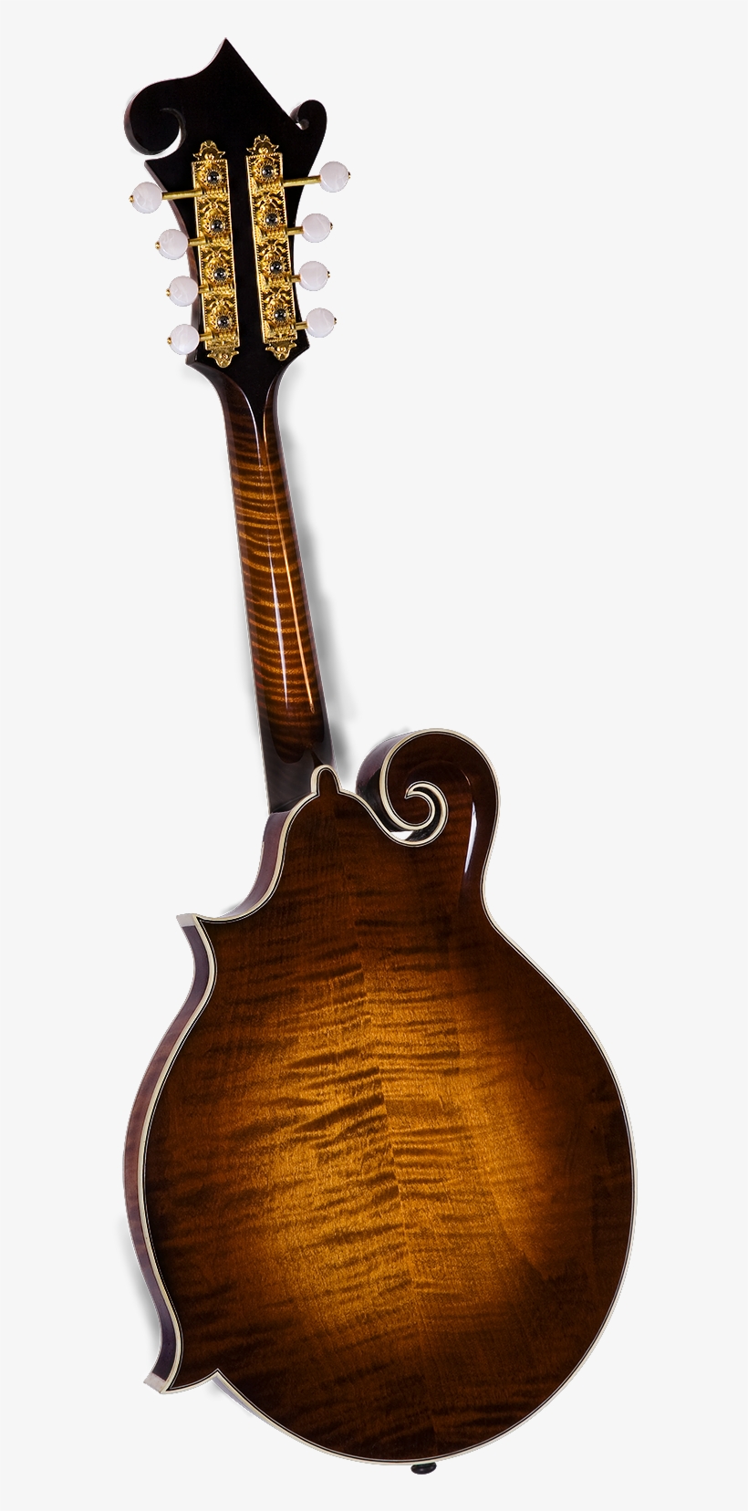 Kentucky Km 1500 Master F Model Mandolin - Mandolin, transparent png download
