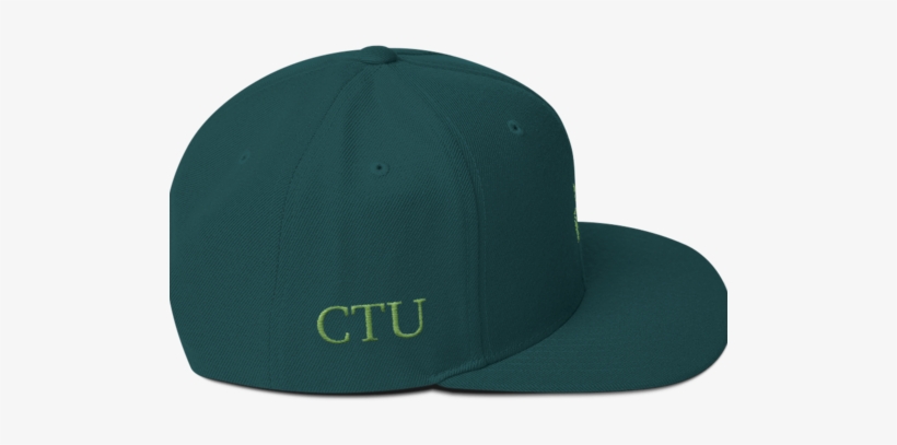 The Higher Education Snapback Cannabis Training University - Clothing, transparent png download