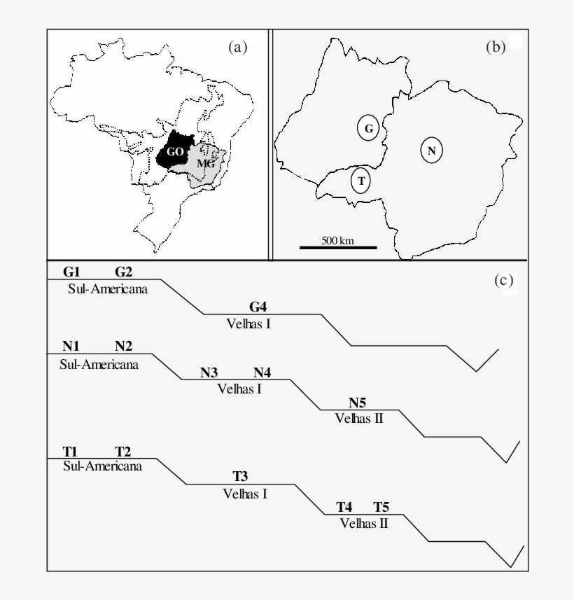 Mapa Do Brasil, Mostrando A Regio Dos Cerrados E Os - Illustration, transparent png download