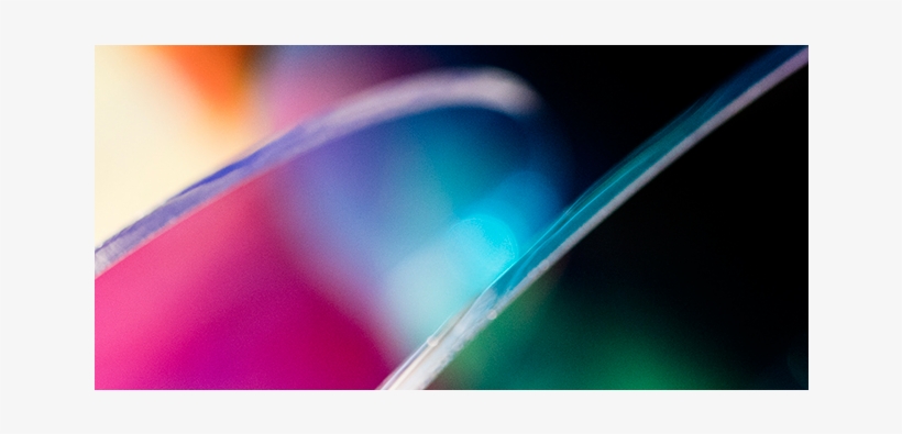 Una Amplia Paleta De Colores - Macro Photography, transparent png download