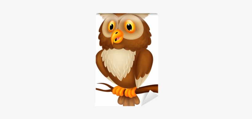 Owl Cartoon, transparent png download
