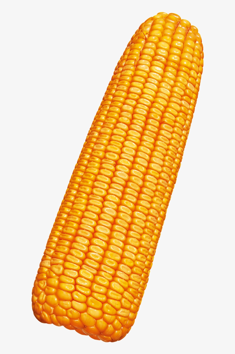 Bright Corn - 玉米, transparent png download