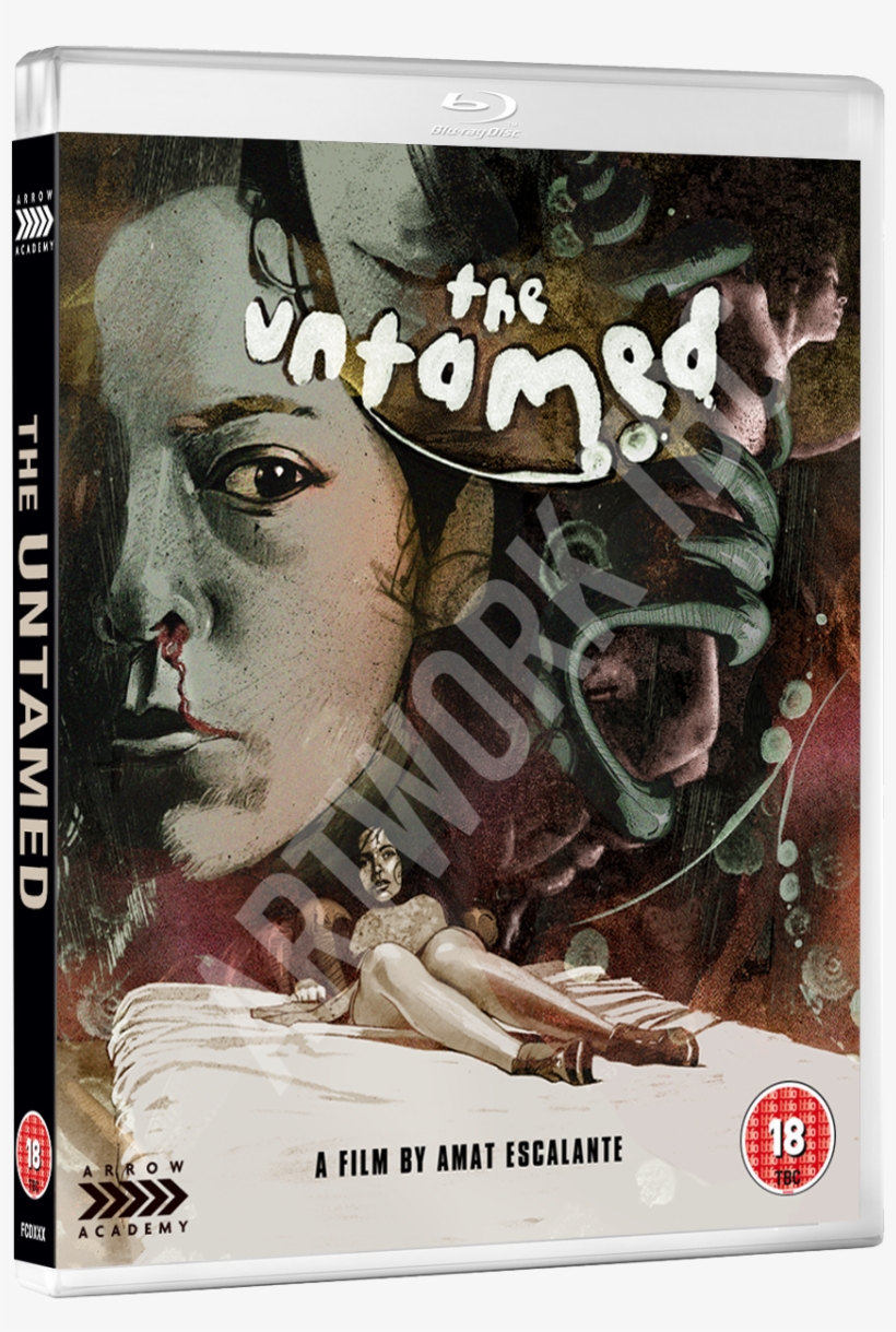 Three Excerpts From Nbc's The Today Show Featuring - Untamed Dvd, transparent png download