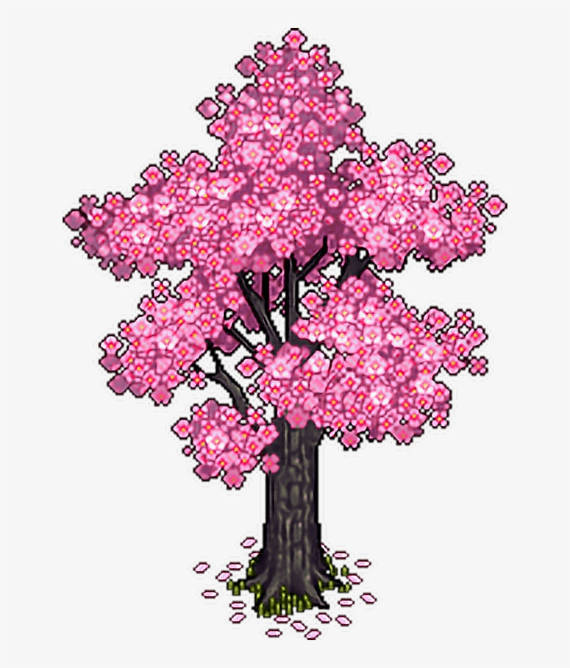 Report Abuse - Cherry Blossom, transparent png download