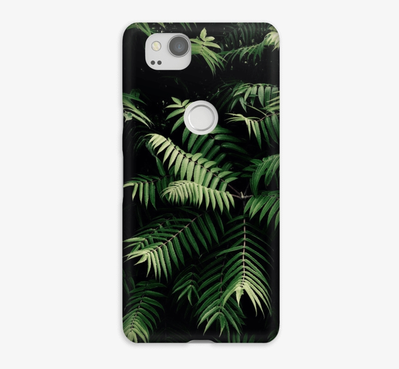 Tropics Case Pixel - Apple Iphone Xs, transparent png download