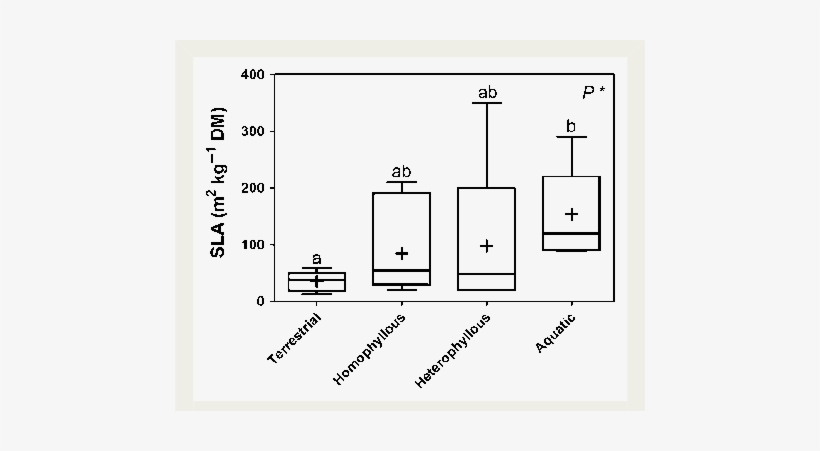 Specific Leaf Area In Terrestrial Wetland Plants, In - Diagram, transparent png download