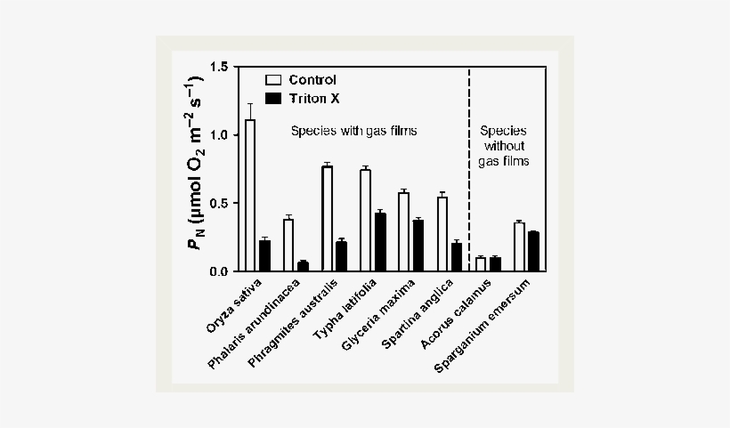 Underwater Net Photosynthesis In Terrestrial Wetland - Diagram, transparent png download
