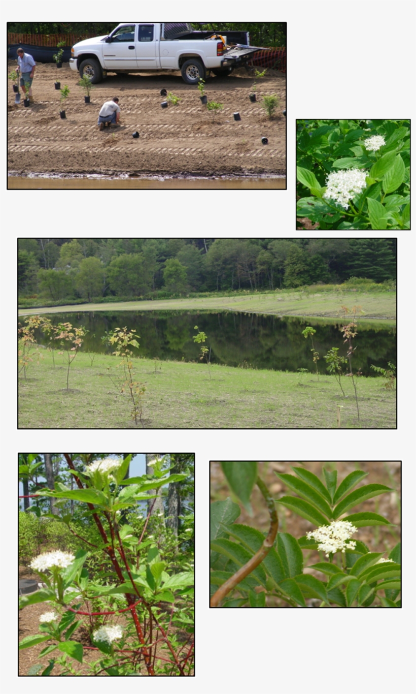 Please Call Our Office At 776-5825 To Speak To A Specialist - Yard, transparent png download