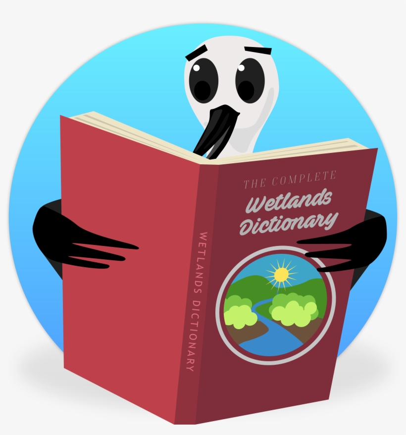 Baylands - Dictionary, transparent png download