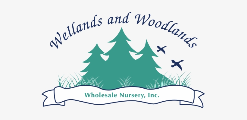 Wetlands And Woodlands - Wetlands & Woodlands Wholesale, transparent png download