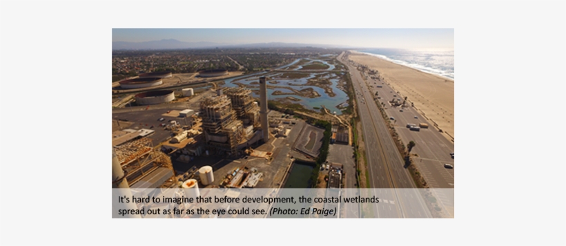 The Huntington Beach Wetlands Was Part Of A System - Aerial Photography, transparent png download