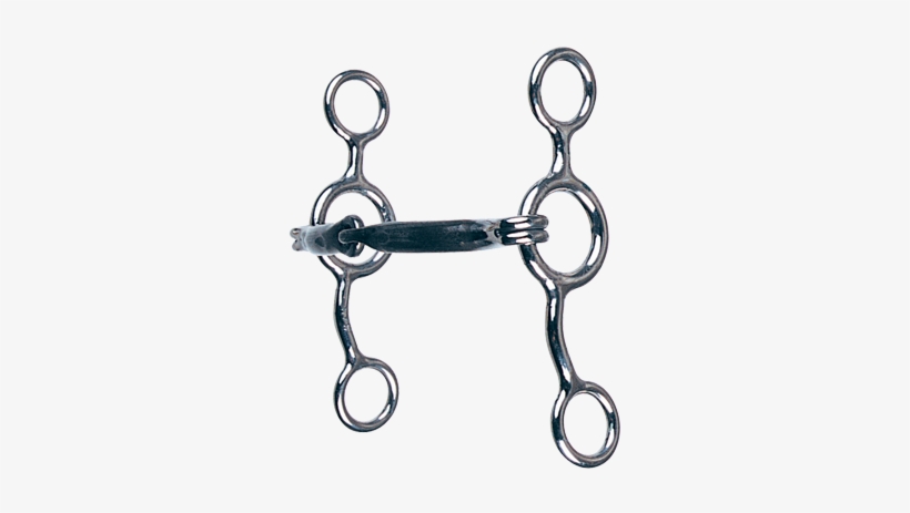 Reinsman - Bits Horse Png Transparent, transparent png download