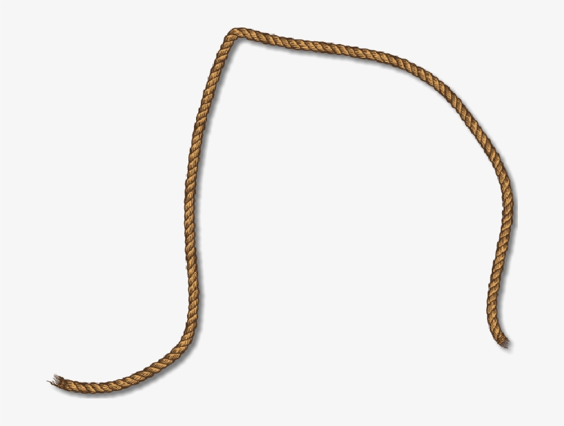 2018 Western Bowl - Burmese Python, transparent png download