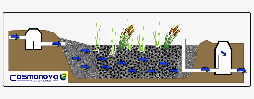 There Is A Myriad Of Possibilities To Implement The - Aguas Residuales Tratamiento Ecologico, transparent png download