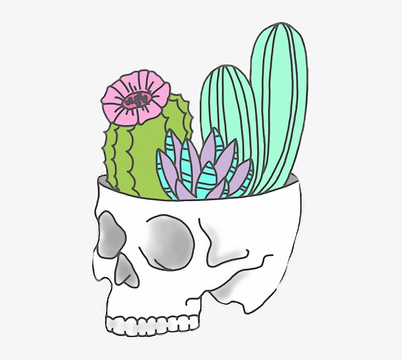 Report Abuse - Stickers Tumblr Png Cactus, transparent png download