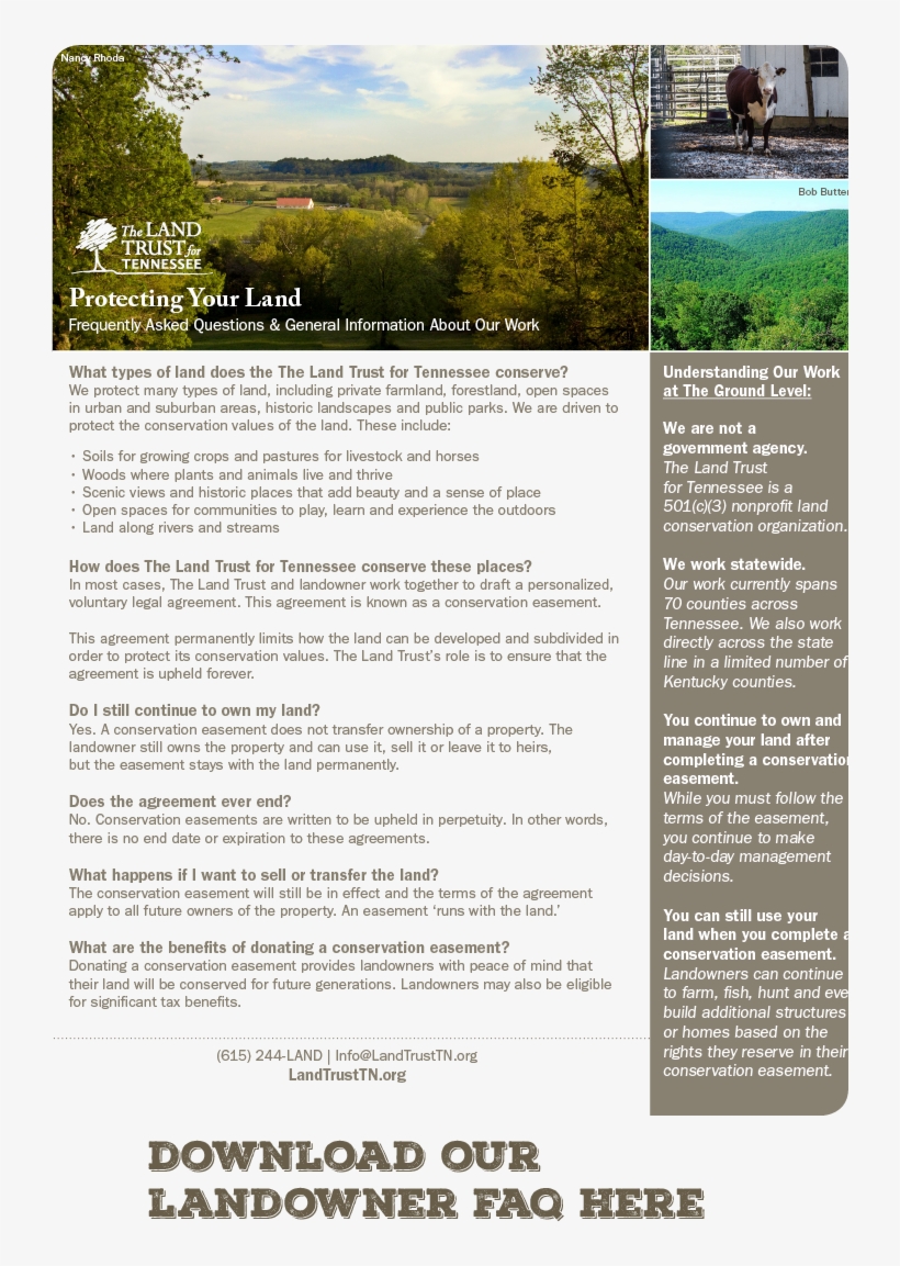 Website Faq Button - Tree, transparent png download