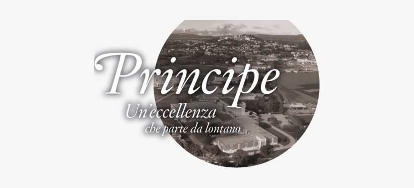 Principe Has Its Headquarters In Trieste, Where It - Skateboard Deck, transparent png download